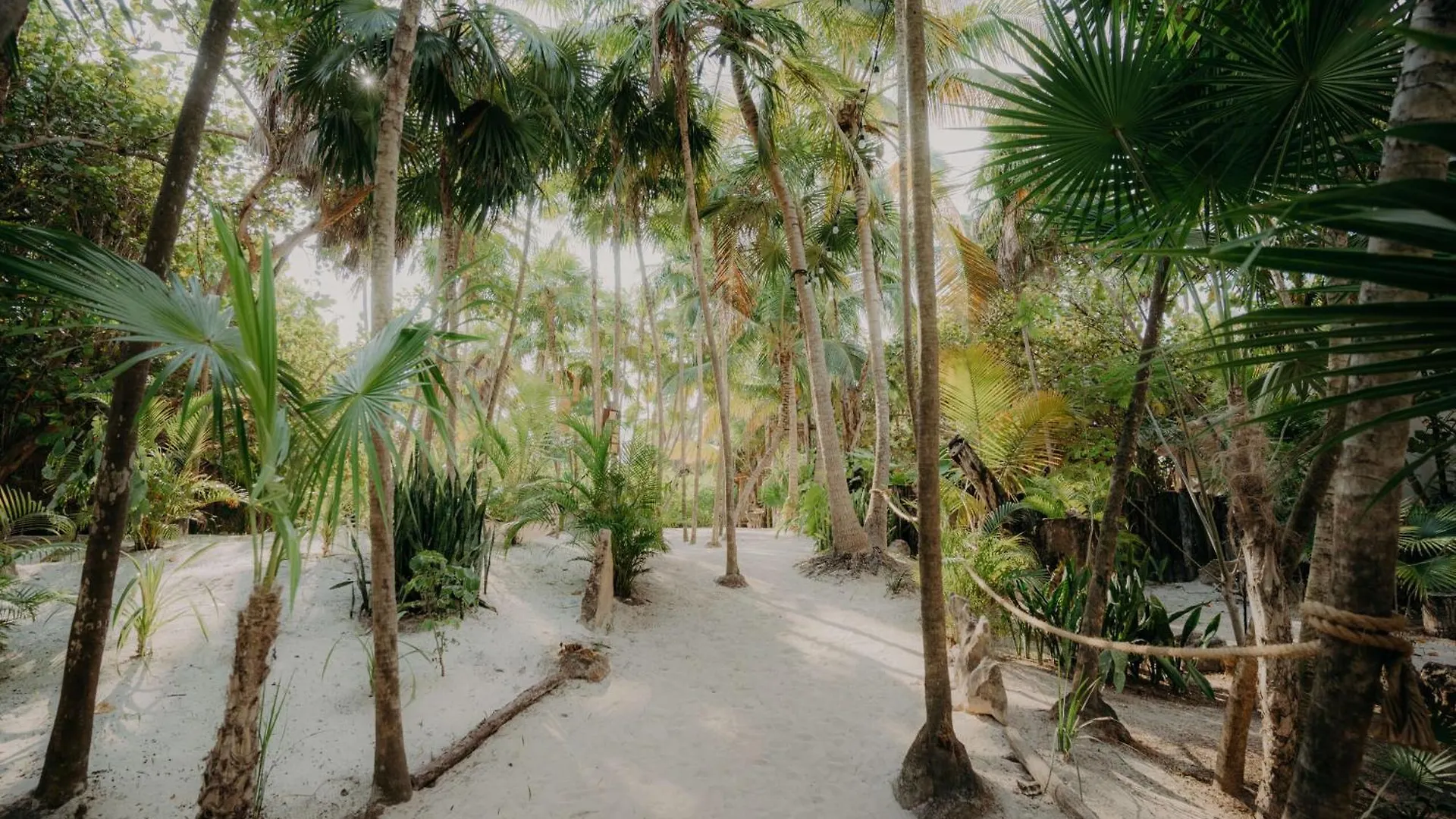 Appartement Luxury Penthouse With Private Rooftop & Hot Tub Tulum